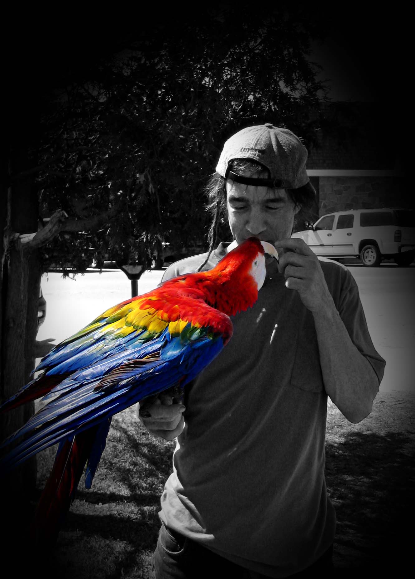 Photoshop Design by shahazadkm for DesignCrowd (Community Contests) | Design #8940634