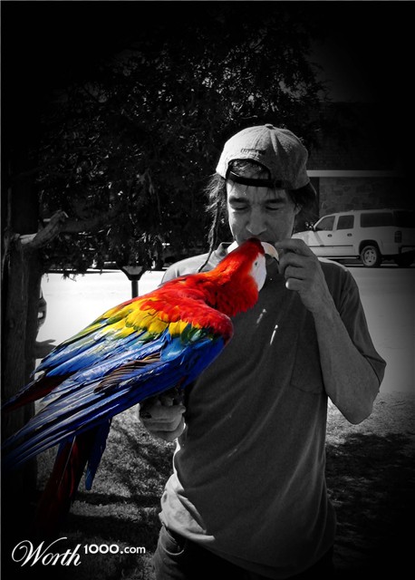 Photoshop Design by shahazadkm