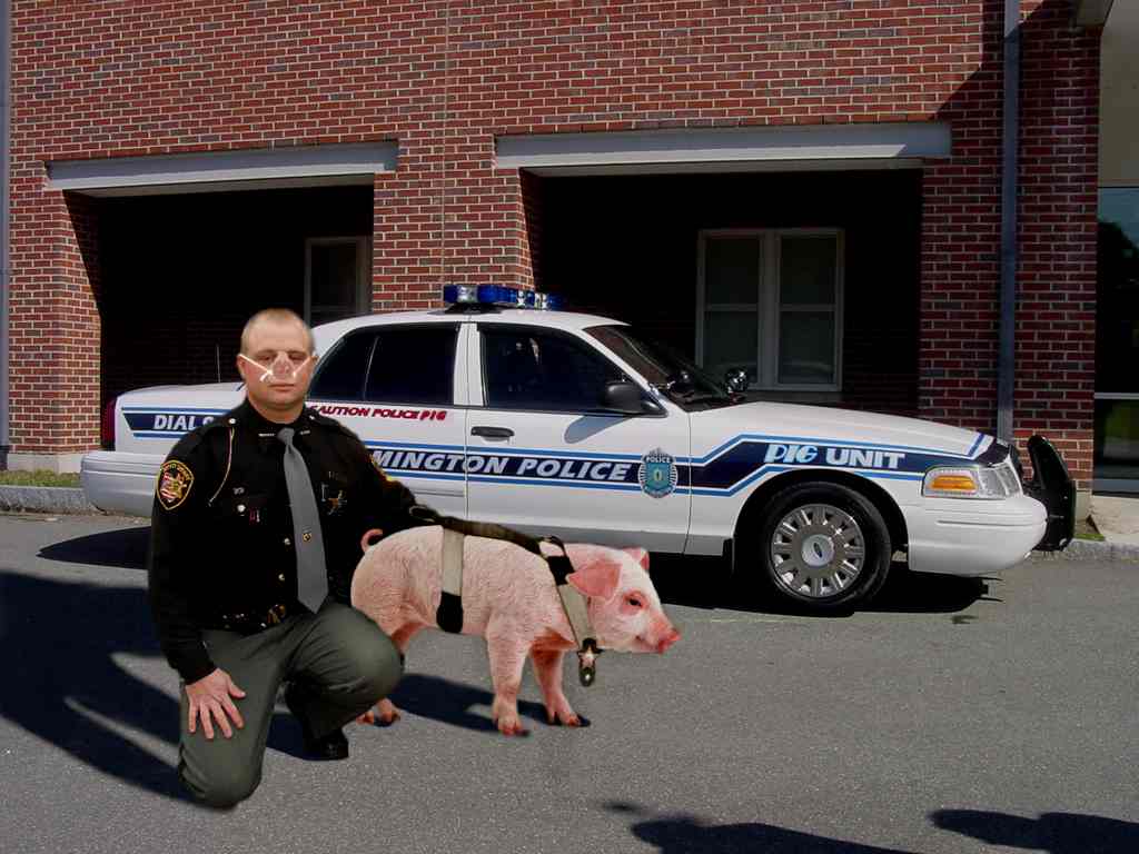 Photoshop Design by jake420 for DesignCrowd (Community Contests) | Design #8939140