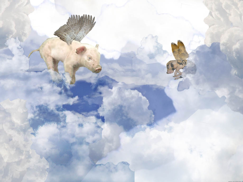 Photoshop-Design von SnapClick für DesignCrowd (Community Contests) | Design #8939148