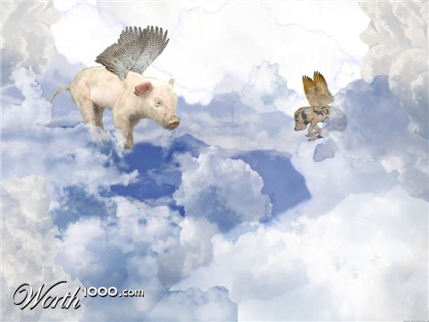 Photoshop Design by SnapClick