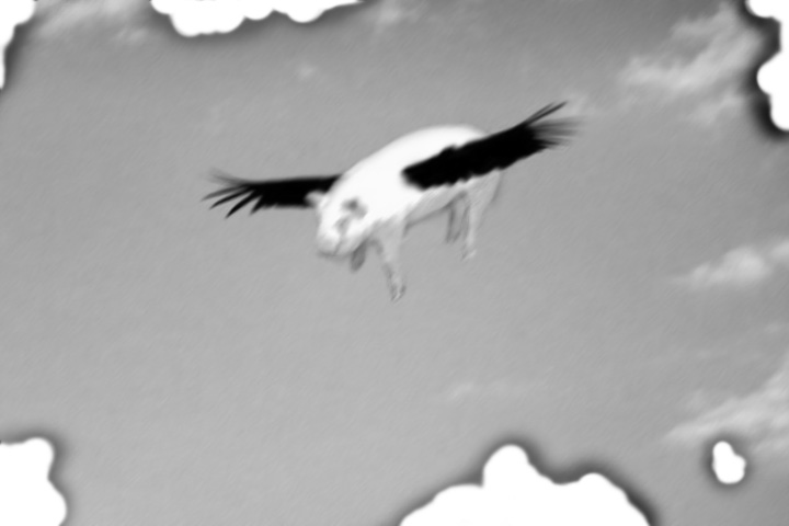 Photoshop Design by SharkFreak for DesignCrowd (Community Contests) | Design #8939100