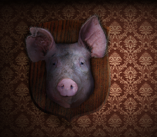 Photoshop Design by SehKraft for DesignCrowd (Community Contests) | Design #8939169