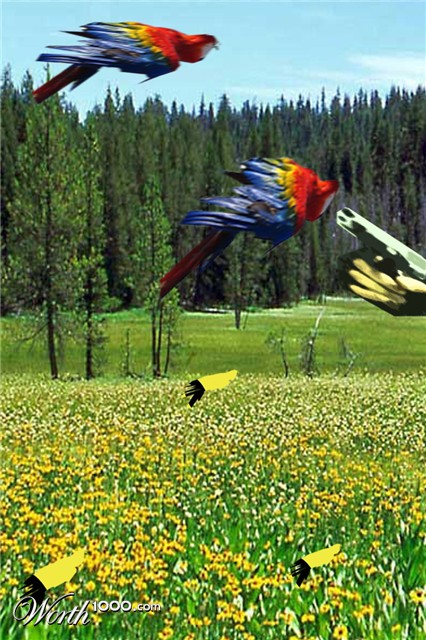 Photoshop Design by nightrope