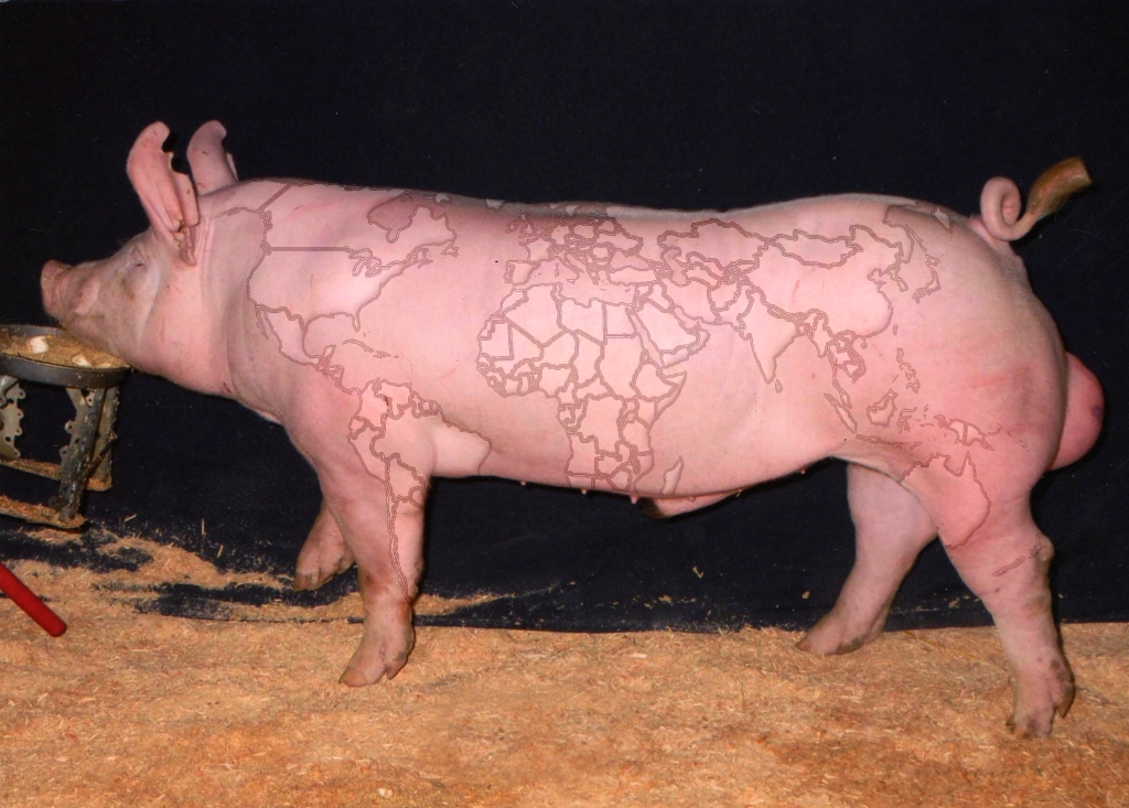 Photoshop-Design von leschhorne für DesignCrowd (Community Contests) | Design #8939104