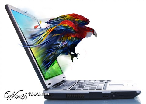 Photoshop Design by alcoiano