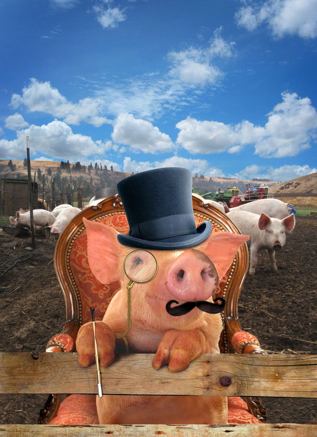 Photoshop Design by hersoft for DesignCrowd (Community Contests) | Design #8939182