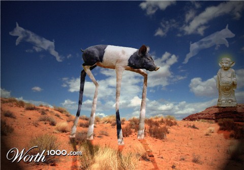 Photoshop Design by FreelanceProphet