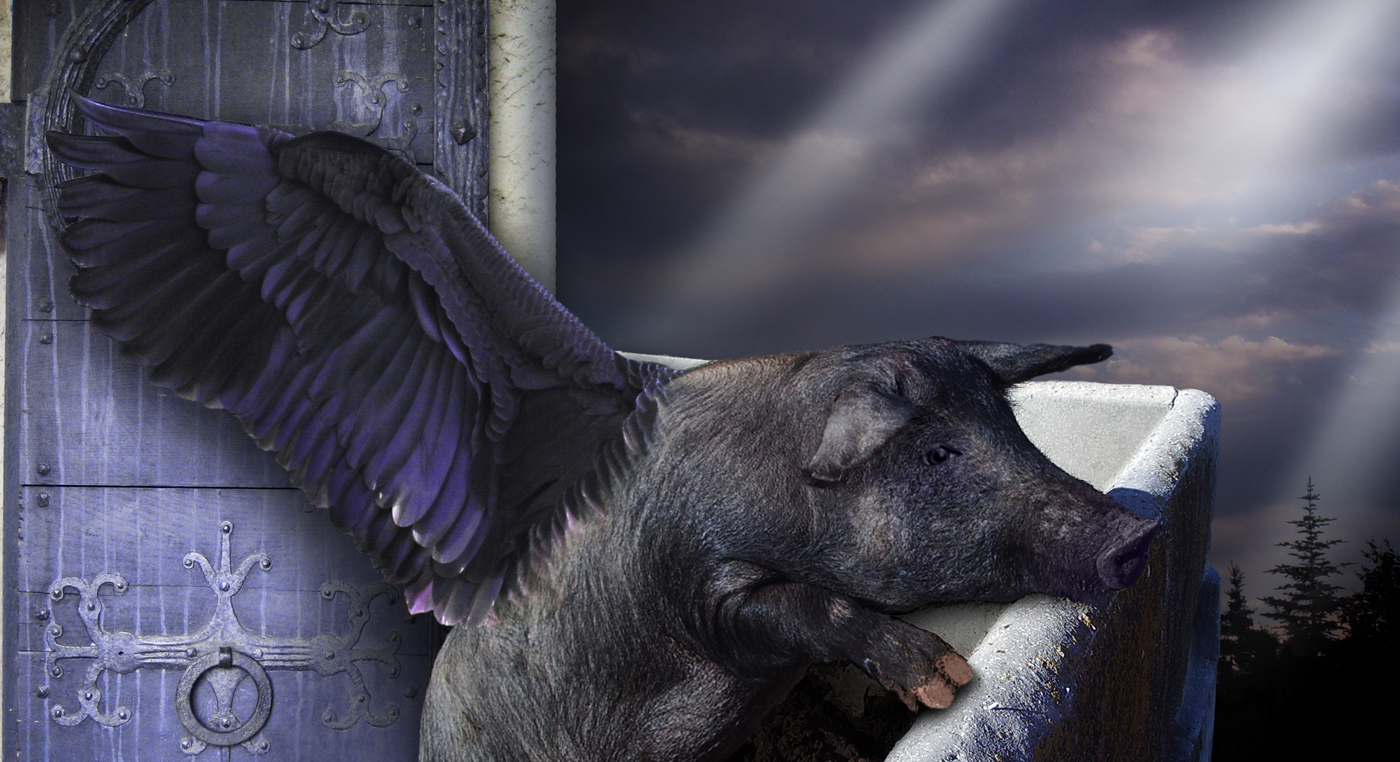 Photoshop Design by NewDay for DesignCrowd (Community Contests) | Design #8939201