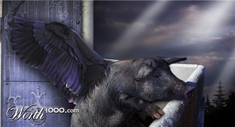 Photoshop Design by NewDay