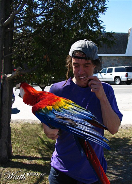 Photoshop Design by gabrieloide