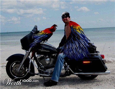 Photoshop Design by jake420