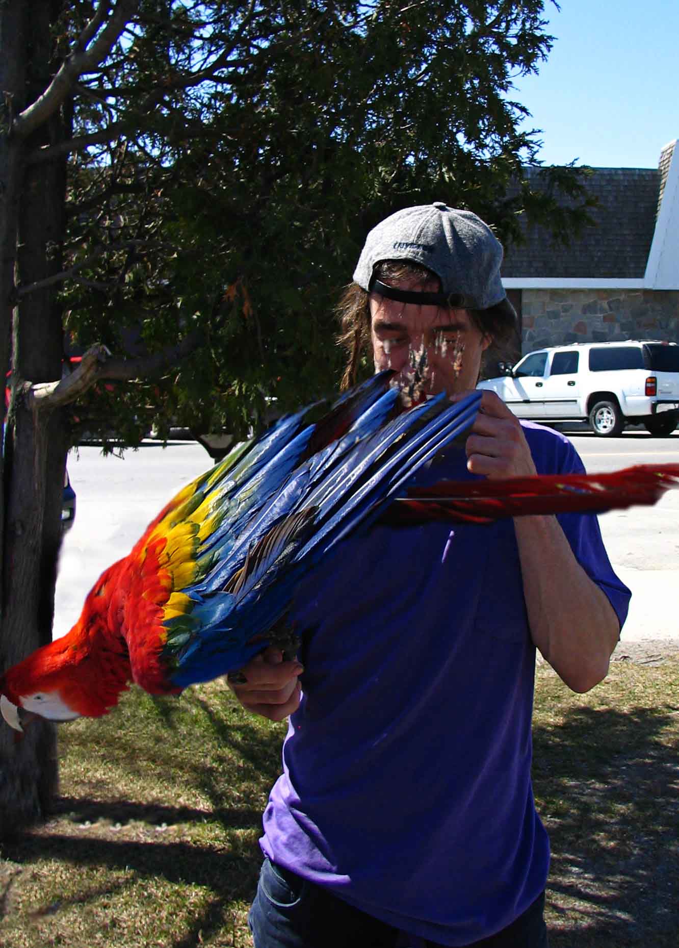 Photoshop Design by HopFrog for DesignCrowd (Community Contests) | Design #8940773