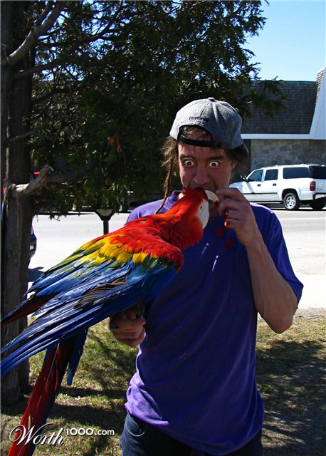 Photoshop Design by chohanic