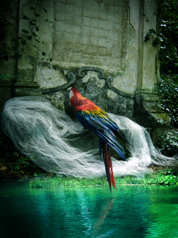 Photoshop Design by hazelann for DesignCrowd (Community Contests) | Design #8940740