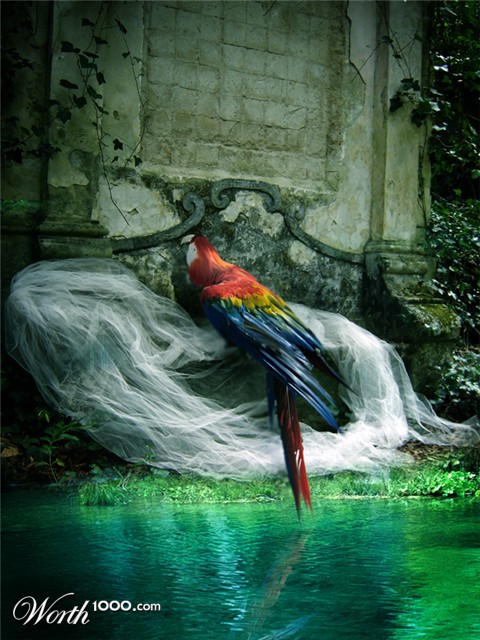 Photoshop Design by hazelann