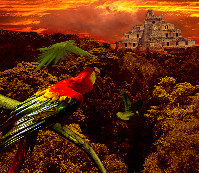 Diseño de Photoshop por Faisalkina13 para DesignCrowd (Community Contests) | Diseño #8940787