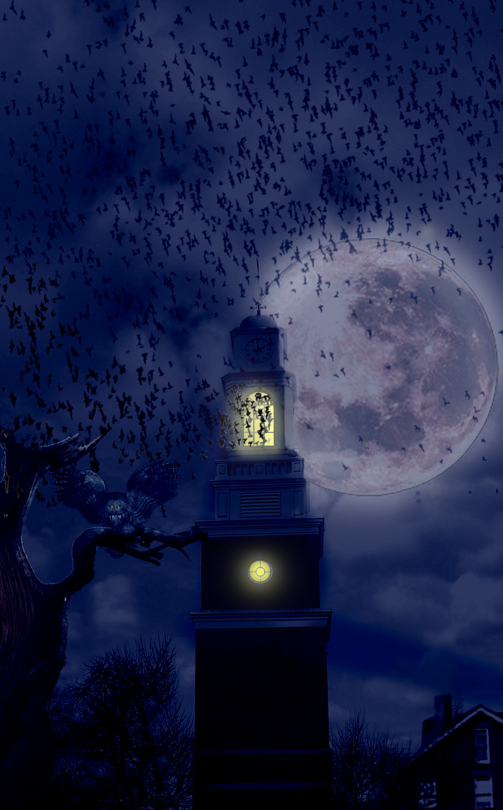 Photoshop Design by navashree for DesignCrowd (Community Contests) | Design #8938505