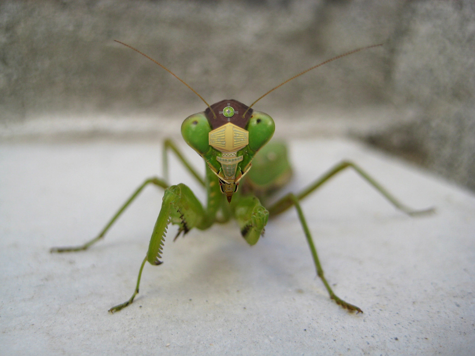 Photoshop-Design von lardofdorkness für DesignCrowd (Community Contests) | Design #8938631