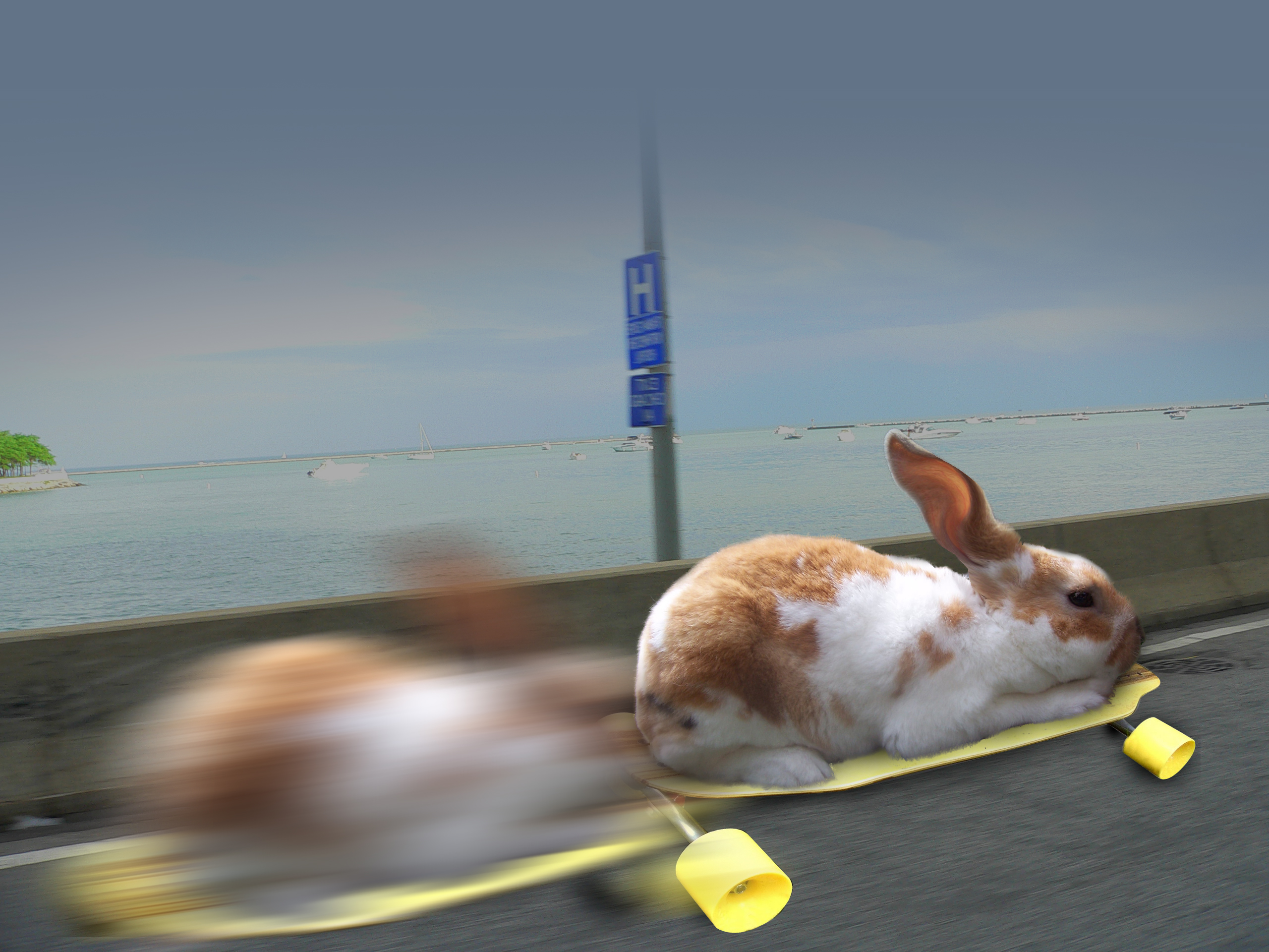 Photoshop-Design von mediagraphik für DesignCrowd (Community Contests) | Design #8935699