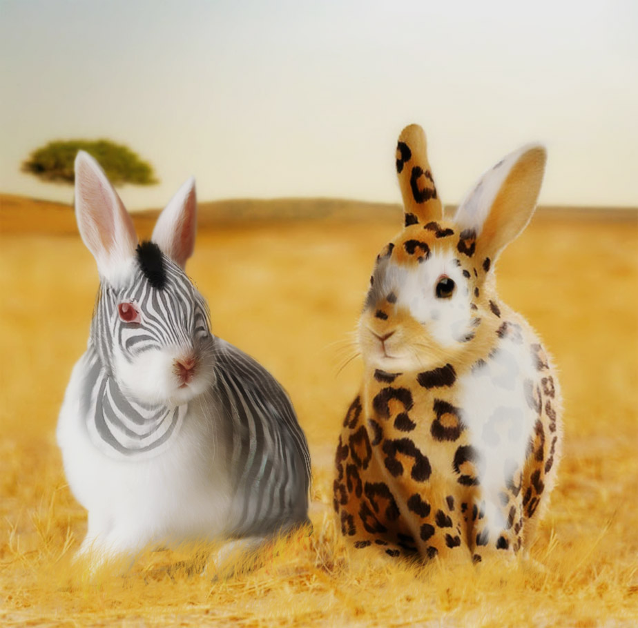 Design Photoshop par IMRxxzS pour DesignCrowd (Community Contests) | Design #8935705