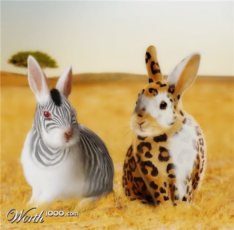 Photoshop Design by IMRxxzS