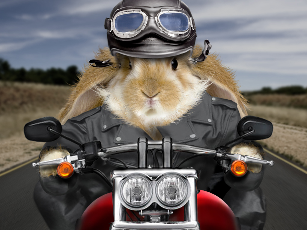 Photoshop Design by DanielSinoca for DesignCrowd (Community Contests) | Design #8935716