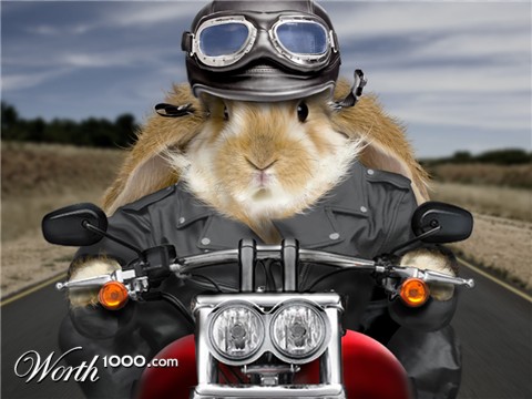 Photoshop Design by DanielSinoca