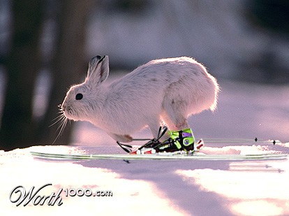 Photoshop Design by DeanG11