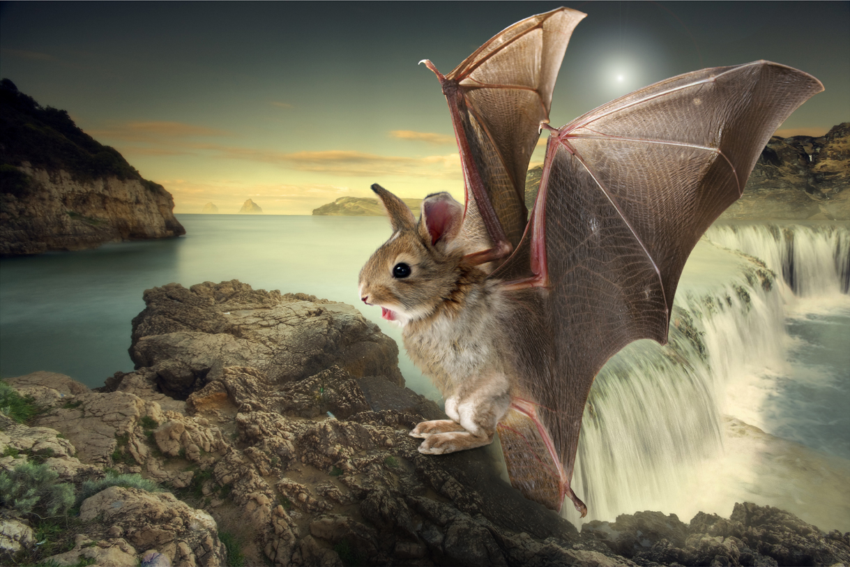 Photoshop-Design von breimer für DesignCrowd (Community Contests) | Design #8935729