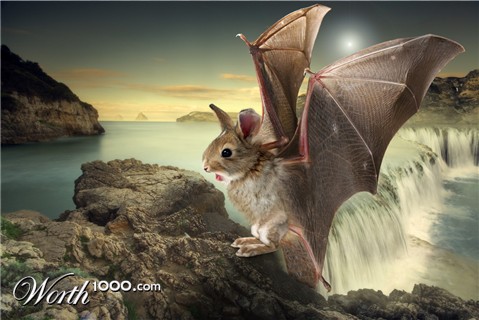 Photoshop Design by breimer