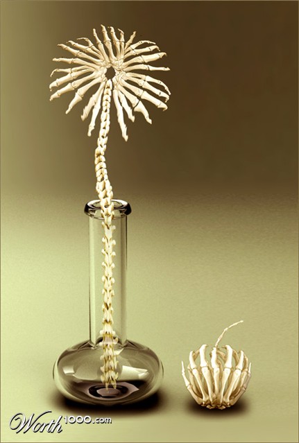 Photoshop Design by Trisste