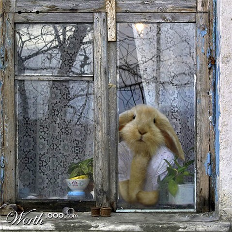 Photoshop Design by aards2