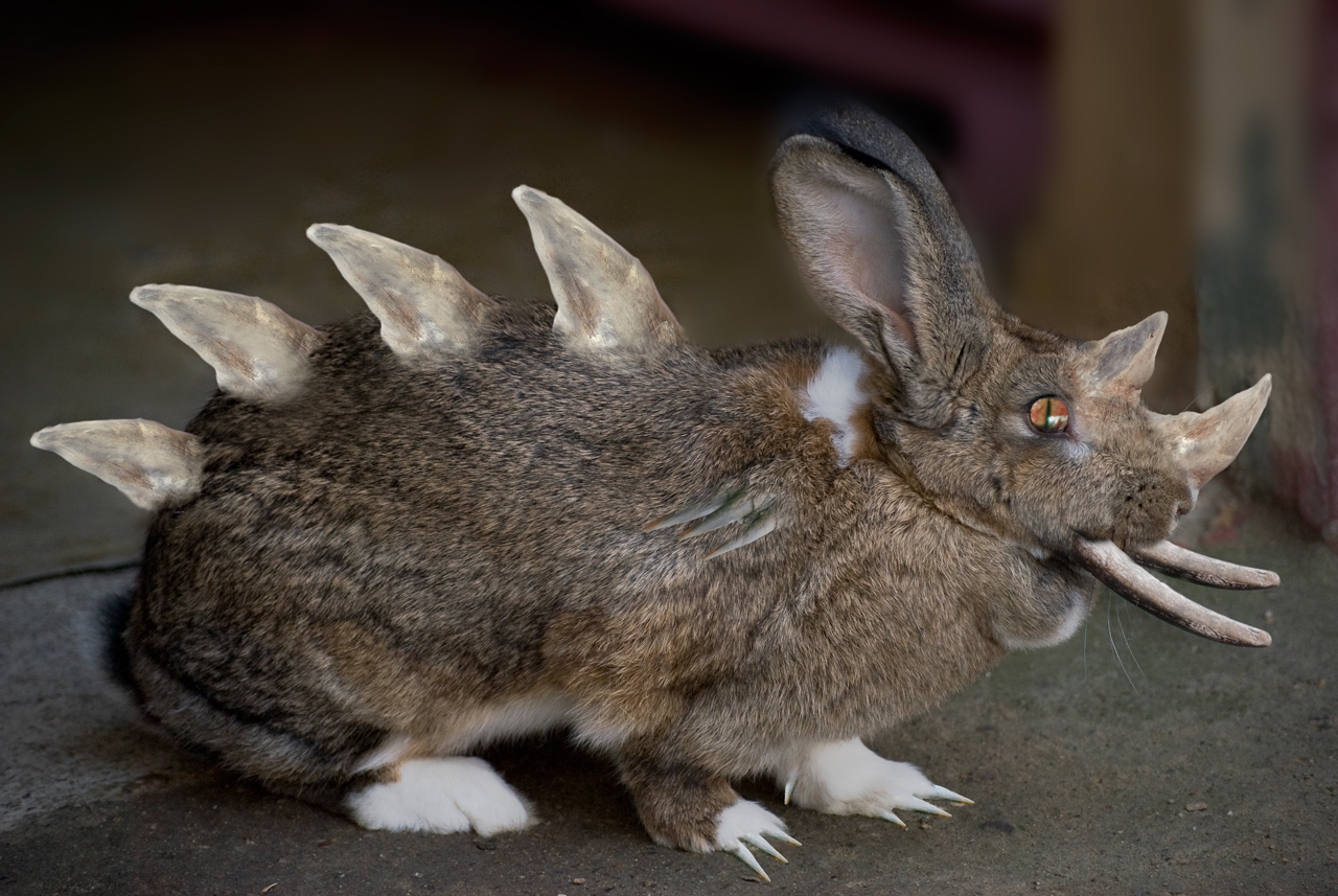 Photoshop-Design von amorfic für DesignCrowd (Community Contests) | Design #8935756