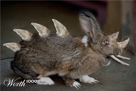 Photoshop Design by amorfic