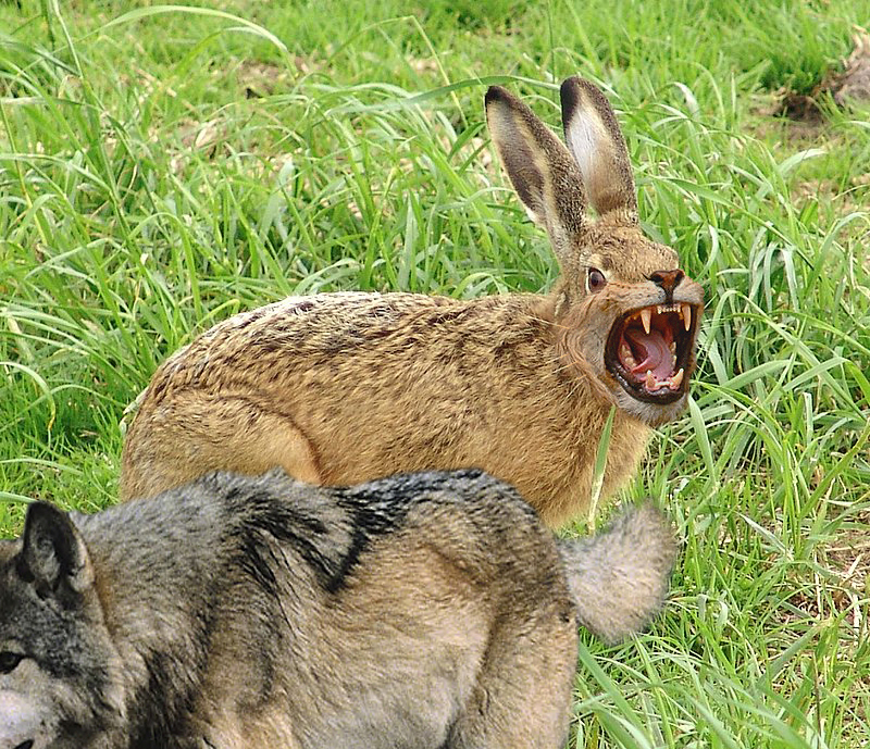 Photoshop Design by bicyclewilli for DesignCrowd (Community Contests) | Design #8935735