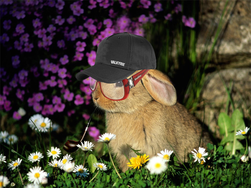 Photoshop Design by Iceryx for DesignCrowd (Community Contests) | Design #8935794