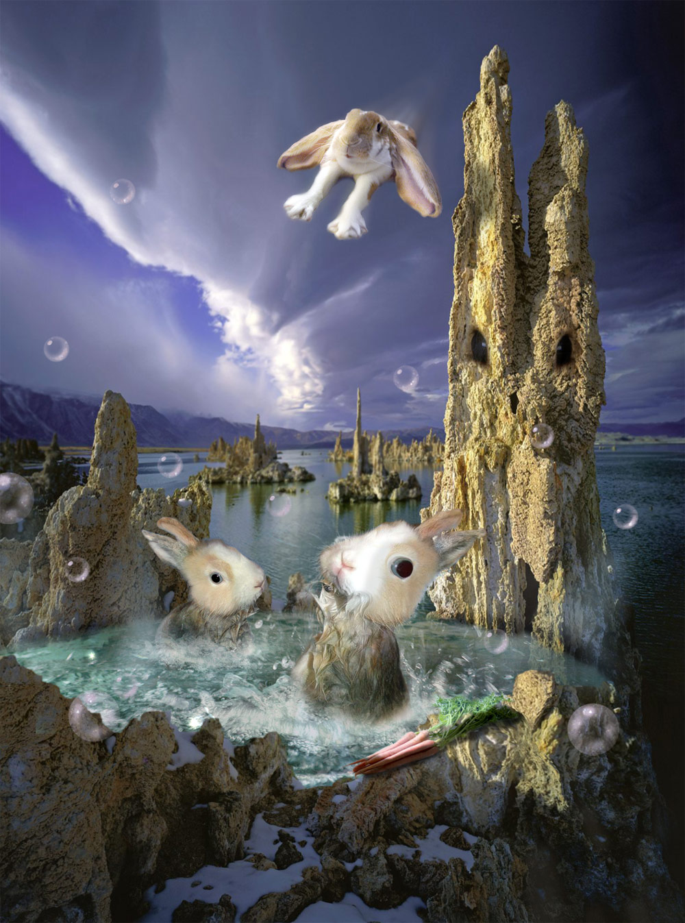 Design Photoshop par cameon pour DesignCrowd (Community Contests) | Design #8935773