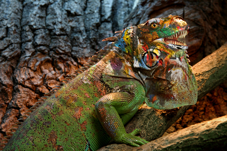 Photoshop Design by MiaWallace for DesignCrowd (Community Contests) | Design #8939695