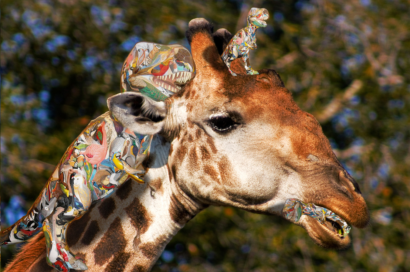 Photoshop Design by kenposam for DesignCrowd (Community Contests) | Design #8939727