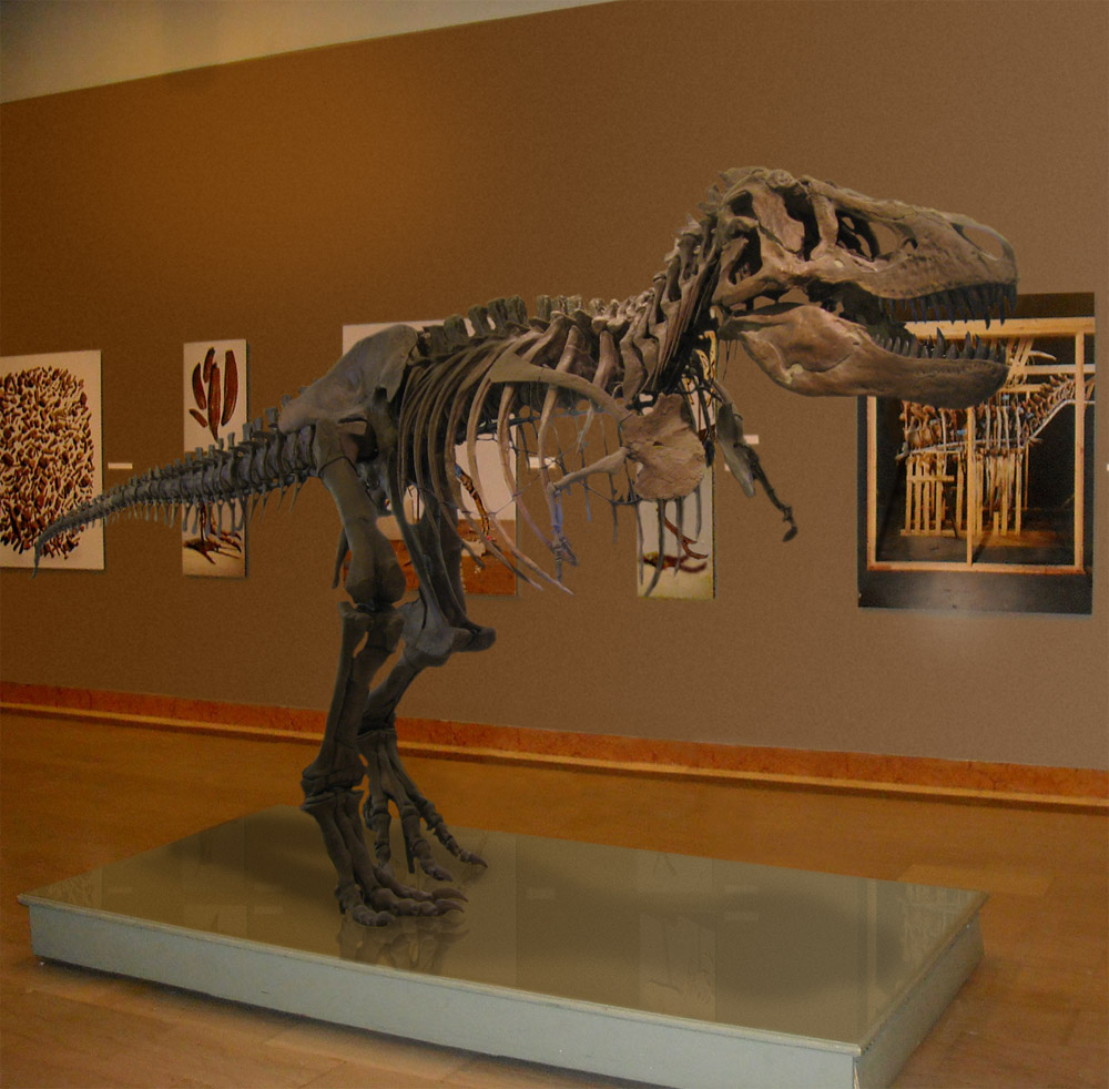 Photoshop-Design von kevmannnn für DesignCrowd (Community Contests) | Design #8939730