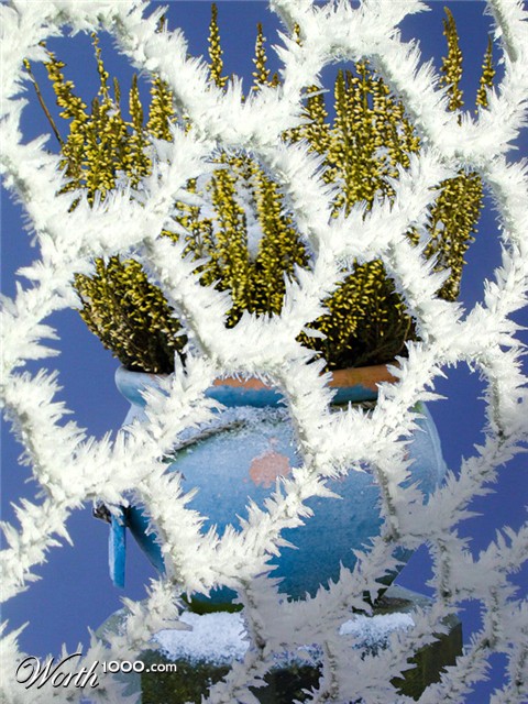 Photoshop Design by cassanhorse