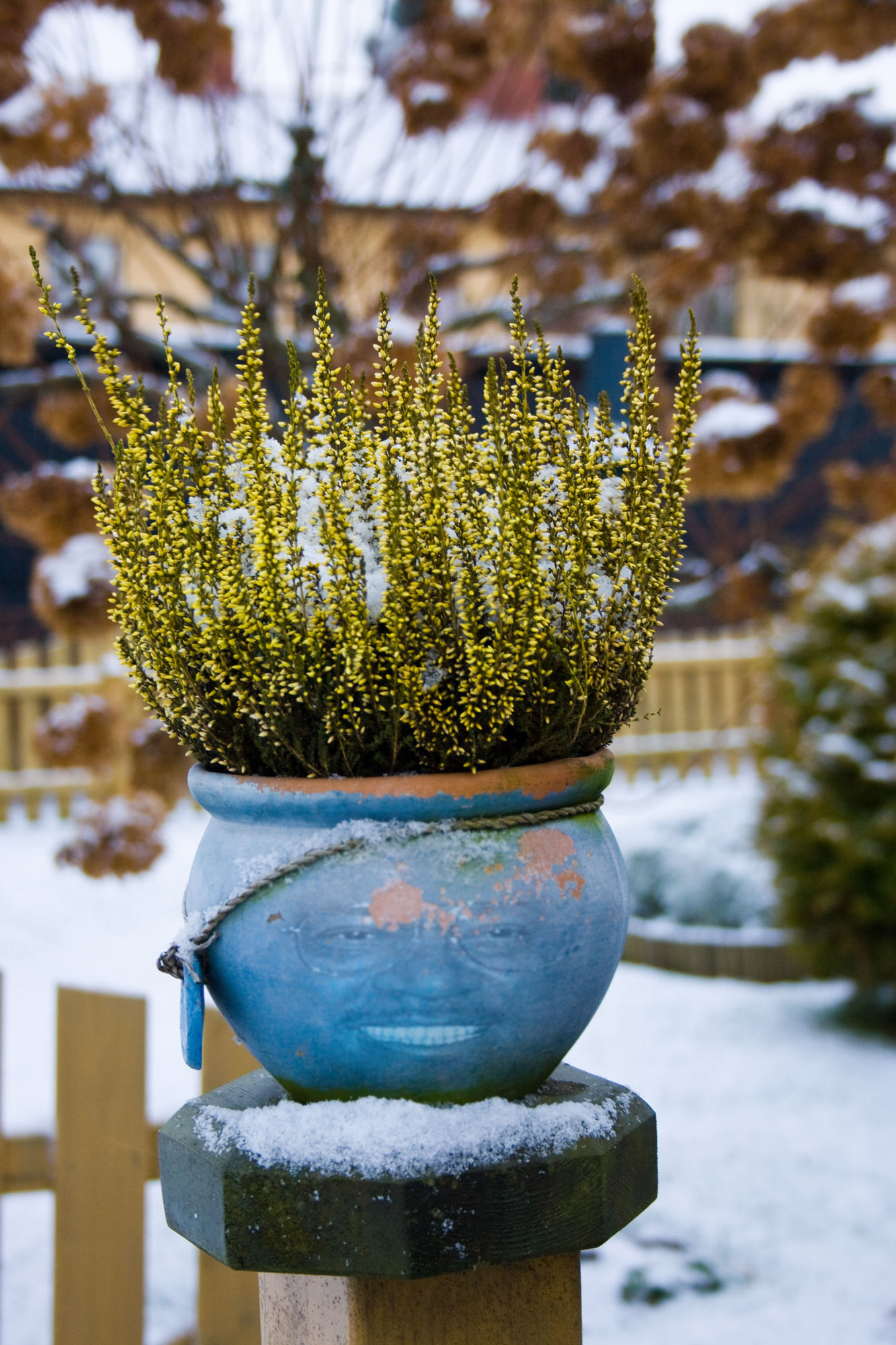 Photoshop Design by taac76 for DesignCrowd (Community Contests) | Design #8936158