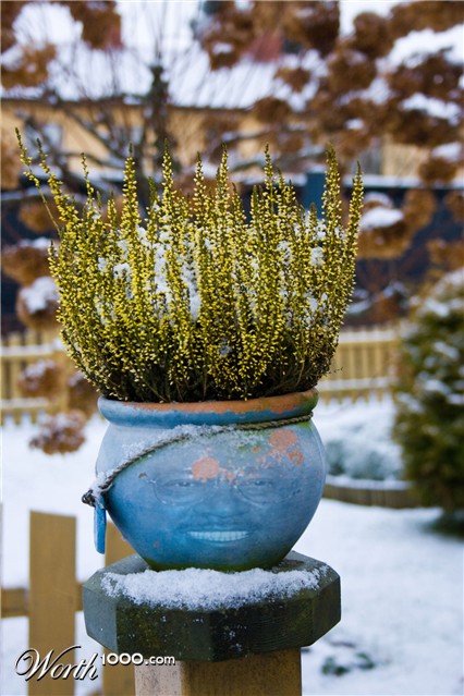 Photoshop Design by taac76