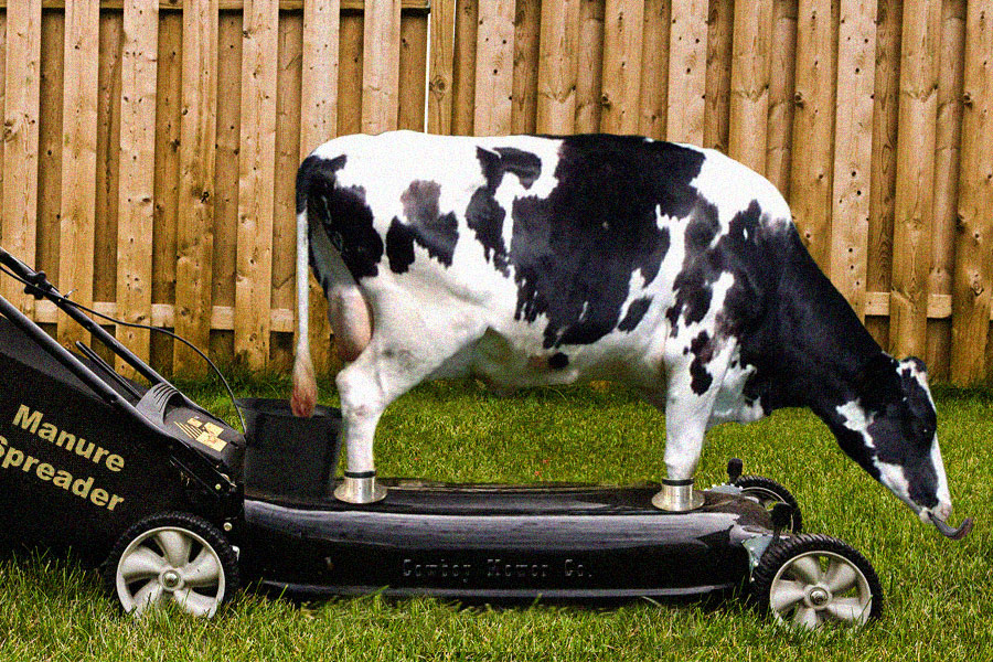 Diseño de Photoshop por lroger01 para DesignCrowd (Community Contests) | Diseño #8935280