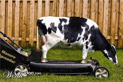 Photoshop Design by lroger01