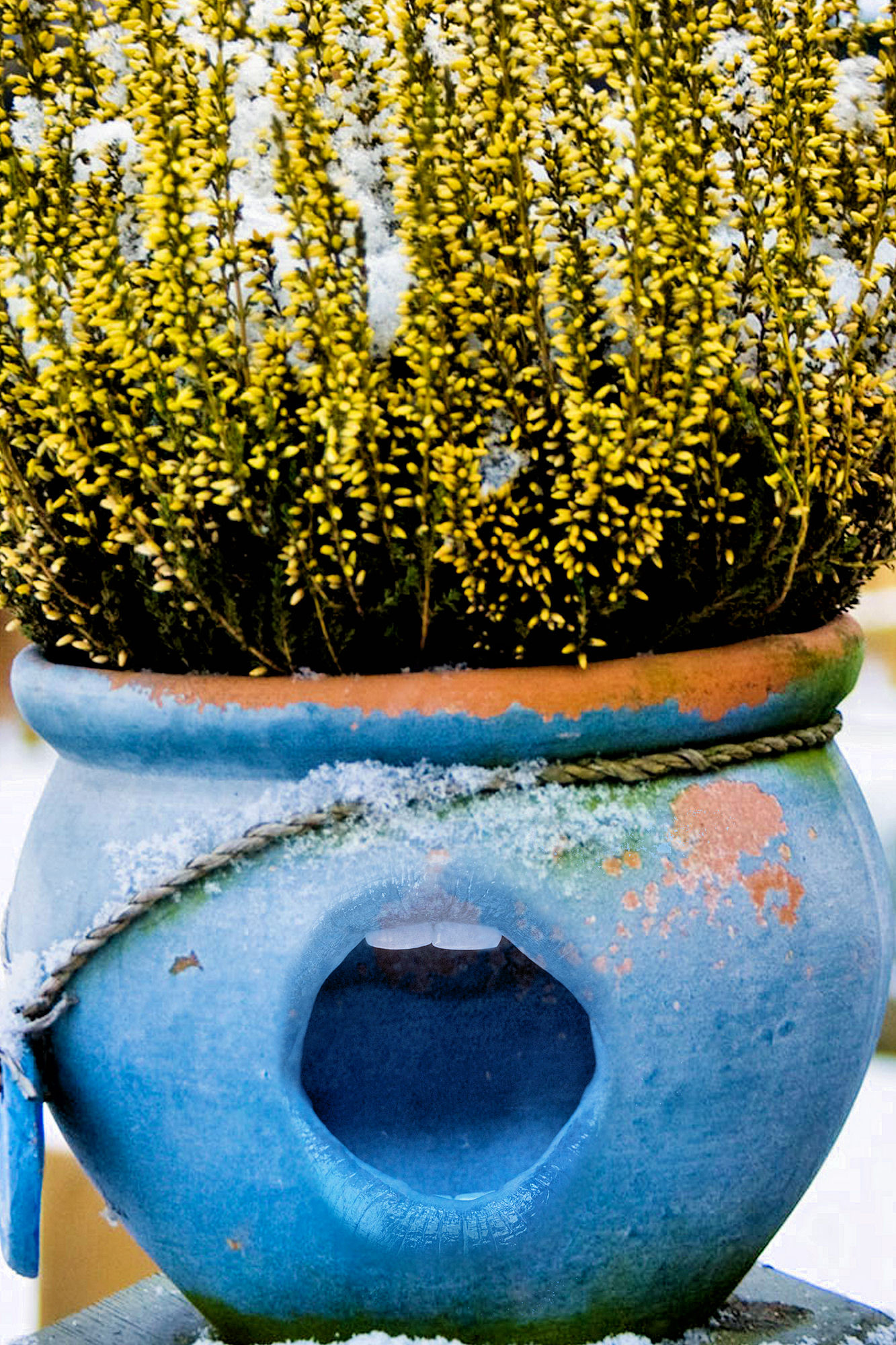 Diseño de Photoshop por Robbyfromitaly para DesignCrowd (Community Contests) | Diseño #8936179