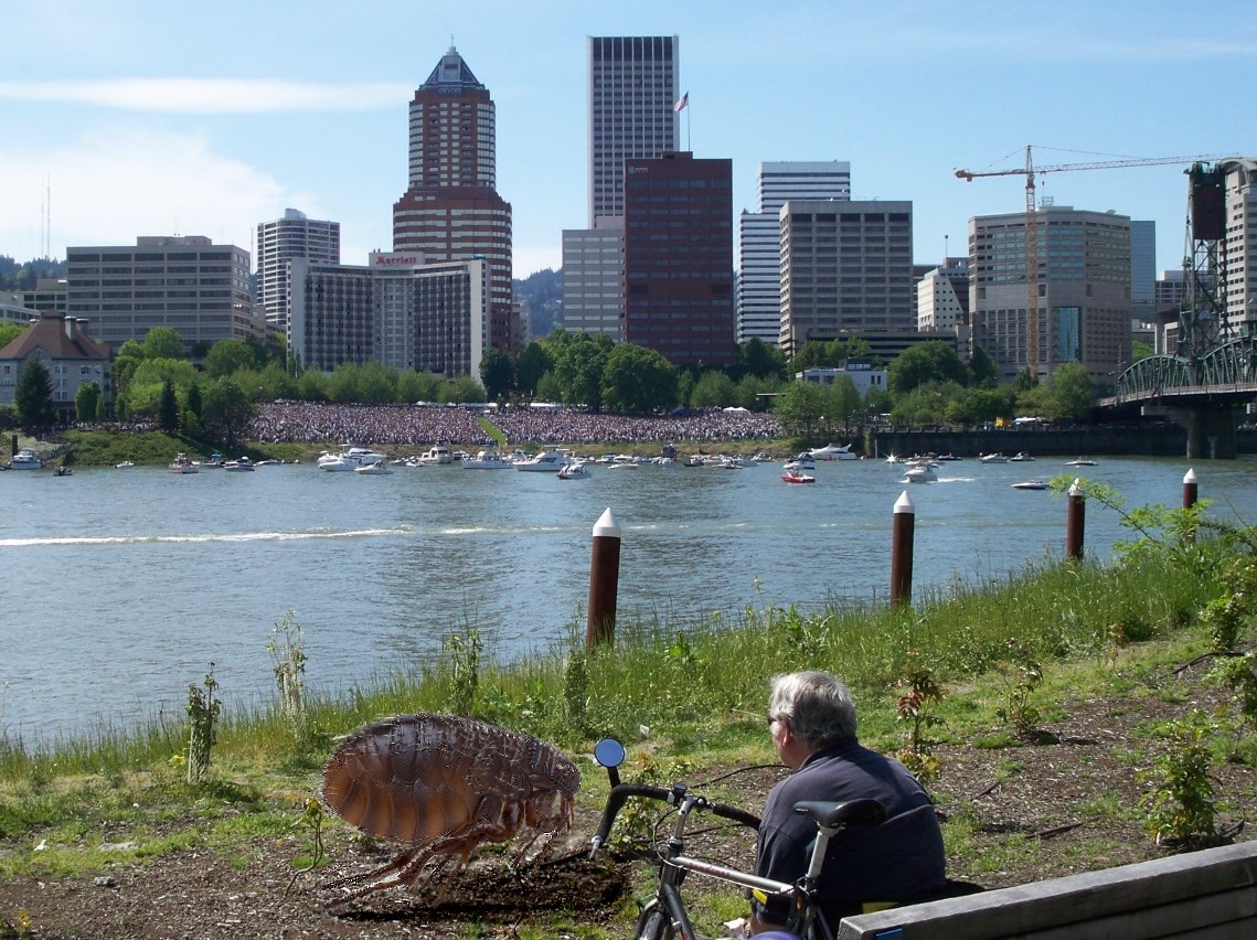 Photoshop Design by billbartlett for DesignCrowd (Community Contests) | Design #8938782