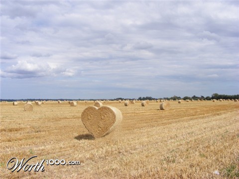 Photoshop Design by Letizia1982