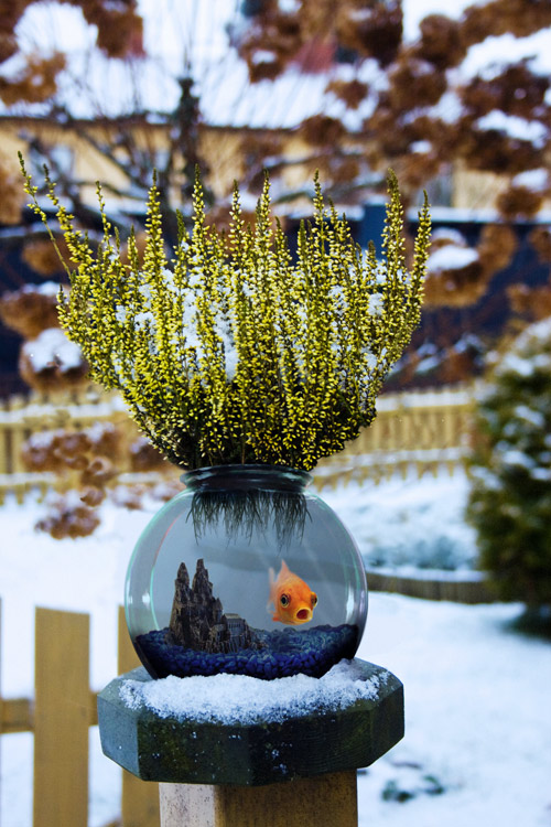 Photoshop Design by SehKraft for DesignCrowd (Community Contests) | Design #8936212